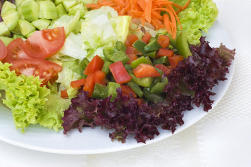 Fresh vegetable salad