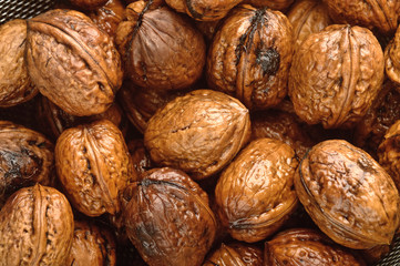 background of wet walnuts