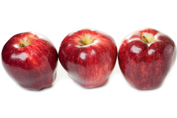 Apple fruit