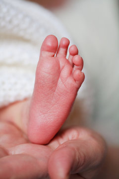 adorable newborn baby feet