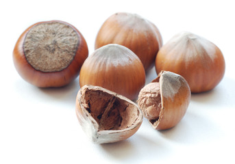 Hazelnut