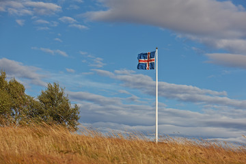 Icelandic flag