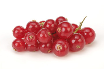 Ribes