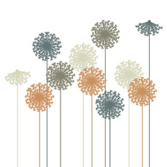 abstract dandelion silhouette - vector