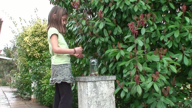 potion magique avec des fleurs