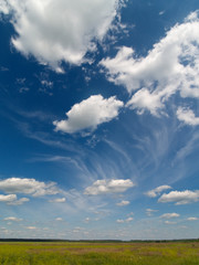 Deep blue sky with green field