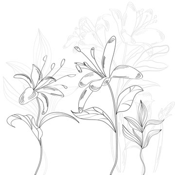 Sketch with flowers