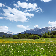 Bergpanorama am Hopfensee