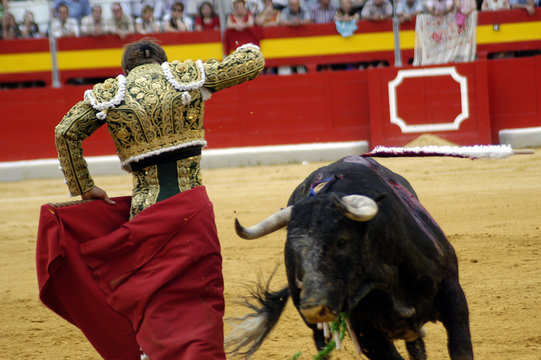 Corrida de toros 12