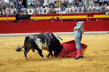 Corrida de toros 53