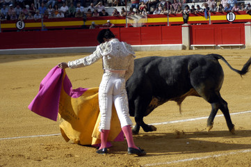 Corrida de toros 055