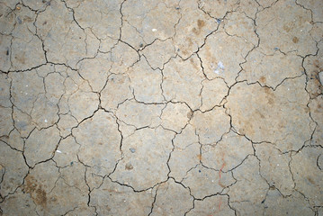 cracked earth