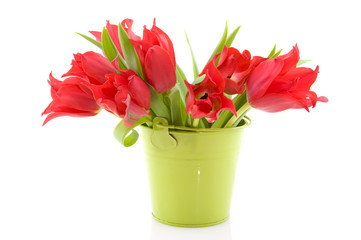 Red tulips
