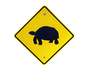 Tortoise Crossing