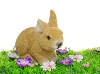 Osterhase auf Blumenwiese - easter bunny on flower meadow 01