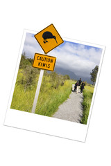 Polaroïd caution kiwis - New Zealand