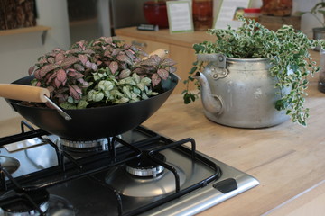 Green kitchen utensils