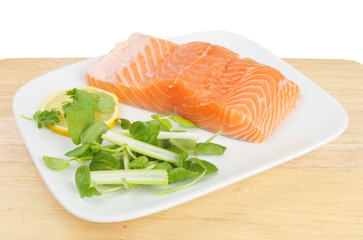 Salmon fillet and garnish