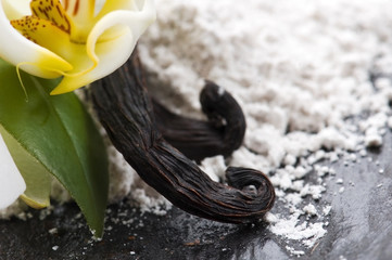 vanilla beans with aromatic sugar and flower
