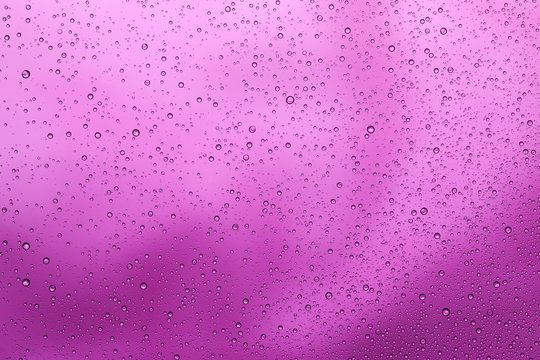 Purple Water Drops Background