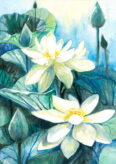 Obrazy na Szkle  Akwarele lotosu malowane.