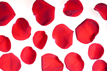 Obraz premium Czerwone płatki róż na białym tle.