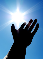 Sun on the palm