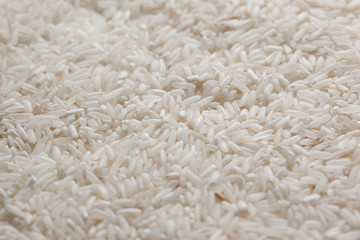 Background of rice