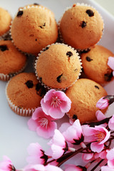 muffins