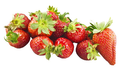 Fragole Macro 03 03 10