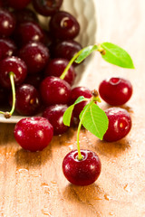 fresh cherries