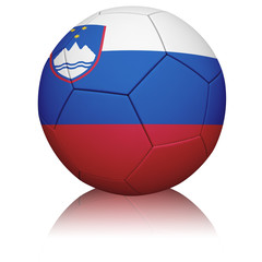 Fototapeta premium Slovenian Flag Football