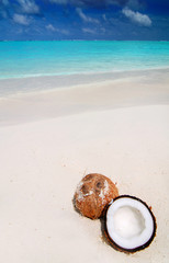 Coconut on the beach