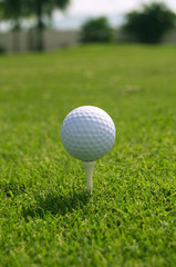 Golf ball on tee
