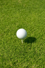 Golf ball on white tee