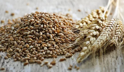 Foto auf Leinwand Whole grain wheat kernels closeup © Elenathewise