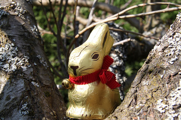 Lapin de Pâques