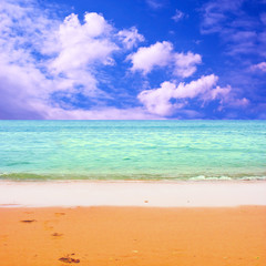 Young beautiful women on the sunny tropical beach in bikini