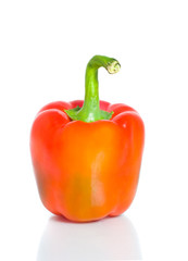 Bell pepper on white