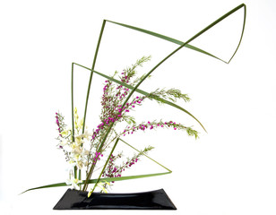 Obraz premium Ikebana, composition florale japonaise