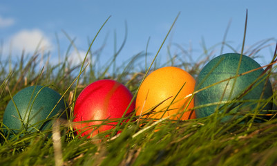 Row of Colored Easter Eggs on a Green Grass with Blue sky