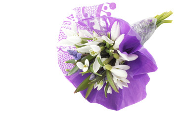 Obraz premium bouquet of snowdrops