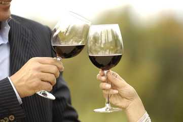 brindare con del vino