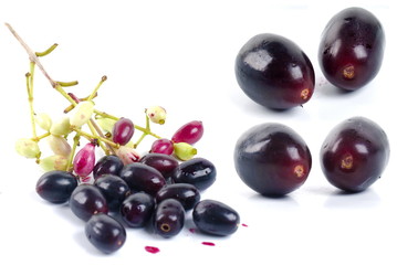 Jambolan
