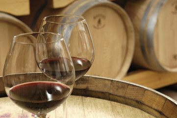 un sorso di vino in cantina