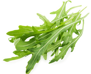Rucola
