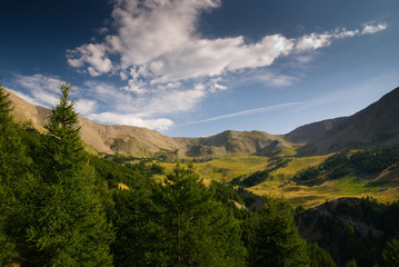 Fototapeta premium Vallon de l'Eyssalette 03