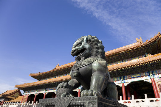 Royal Bronze Lion in forbidden city