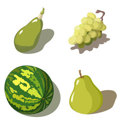 Set of four green fruits on white background