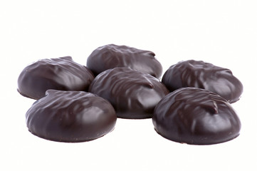 zephyr on white background